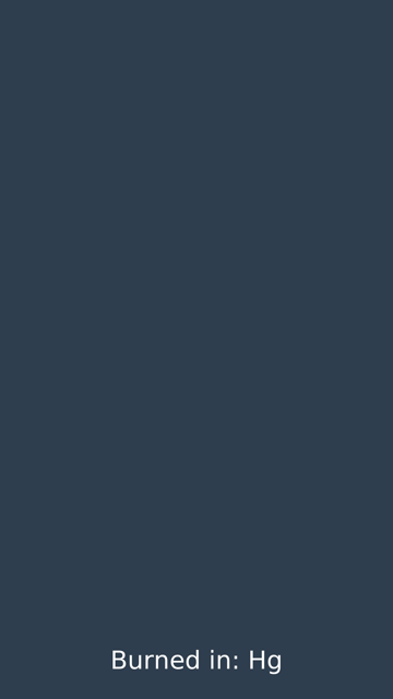 A 1080x1920 frame scaled to a third: a plain slate-blue background with the white subtitle 'Burned in: Hg' in DejaVu Sans at FontSize 12, centred just above the bottom edge and spanning a little under half the width