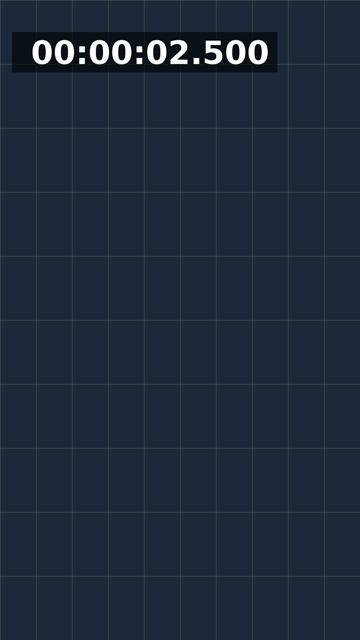 The dark grid frame with a running timestamp in the top-left corner: white bold digits reading 00:00:02.500 on a black semi-transparent box, with a visibly wider margin inside the box on the left of the digits than on the right